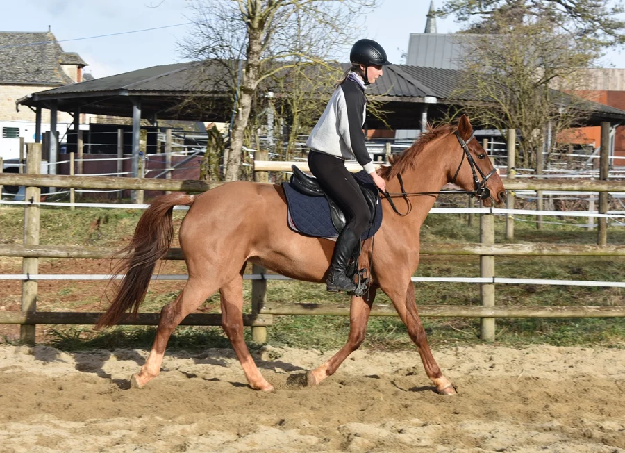 Jamaike - Miniature 3