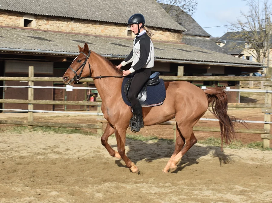 Jamaike - Miniature 8